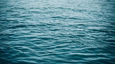 Стало известно, сколько детей погибли на воронежских водоёмах с начала года - vestivrn.ru - Воронеж - Воронежская обл.
