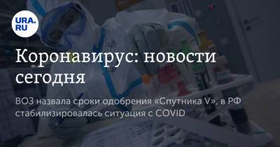 Михаил Мурашко - Александр Гинцбург - Коронавирус: новости сегодня. ВОЗ назвала сроки одобрения «Спутника V», в РФ стабилизировалась ситуация с COVID - ura.news - Россия - Китай - Ухань