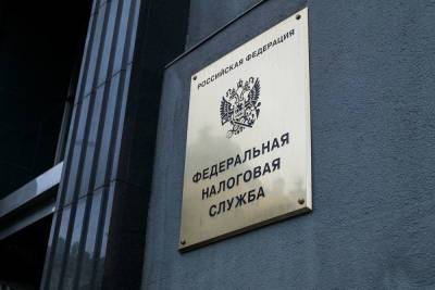 Российский налоговик покрывал долги неплательщиков из своего кармана - mk.ru - Московская обл.
