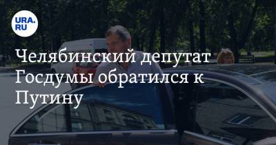 Владимир Путин - Челябинский депутат Госдумы обратился к Путину - ura.news - Россия - Челябинская обл.