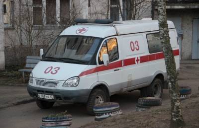Мужчина больше недели прожил в квартире с трупом матери и умер - gubdaily.ru - Санкт-Петербург