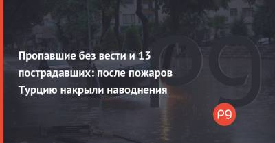 Пропавшие без вести и 13 пострадавших: после пожаров Турцию накрыли наводнения - thepage.ua - Украина - Турция - Греция