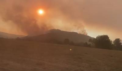 В Башкирии ликвидирован один из крупных лесных пожаров в Хайбуллинском районе - mkset.ru - Башкирия - район Баймакский