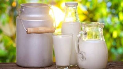 Стало известно, как может подорожать молоко этой осенью - enovosty.com - Украина