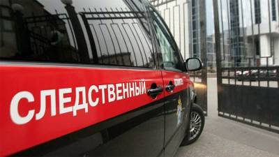 СК предъявил обвинение в превышении полномочий двум сотрудникам ИВС в Истре - russian.rt.com - Россия - Истра