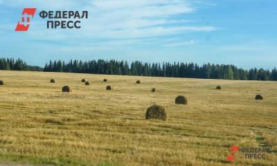 В Башкирии среди вакцинированных от коронавируса разыграют сено - fedpress.ru - Башкирия - Уфа - район Демский