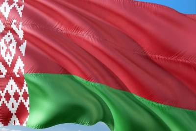 В Белоруссии задержали бывшего посла в Словакии - mk.ru - Белоруссия - Минск - Словакия