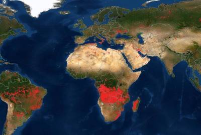 NASA опубликовало карту пожаров на Земле: огня нет только в Антарктиде - kp.ua - Украина - Австралия - Антарктида - Индонезия - Мадагаскар - Манавгат