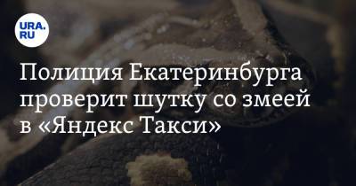 Полиция Екатеринбурга проверит шутку со змеей в «Яндекс Такси» - ura.news - Екатеринбург