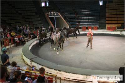 «И только лошади летают вдохновенно»: в Тверском цирке прошёл открытый урок для специальных гостей - tverigrad.ru