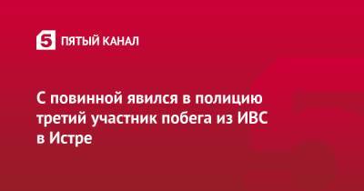 Ирина Волк - Денис Грозаву - Иван Цуркану - С повинной явился в полицию третий участник побега из ИВС в Истре - 5-tv.ru - Россия - Московская обл. - городское поселение Истра - Подольск