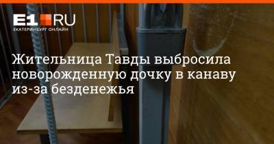 Жительница Тавды выбросила новорожденную дочку в канаву из-за безденежья - e1.ru - Екатеринбург - Свердловская обл.