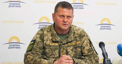 Валерий Залужный - Валерий Залужный - dsnews.ua - Украина - Одесса - Житомирская обл.