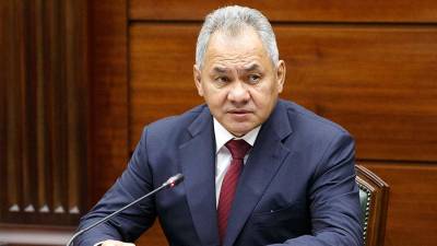 Сергей Шойгу - Шойгу призвал избежать в России повторения экономической ситуации 90-х - iz.ru - Россия - Израиль