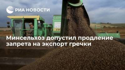 Дмитрий Патрушев - Глава Минсельхоза Патрушев: ограничения на экспорт гречки могут продлить после 31 августа - smartmoney.one - Россия