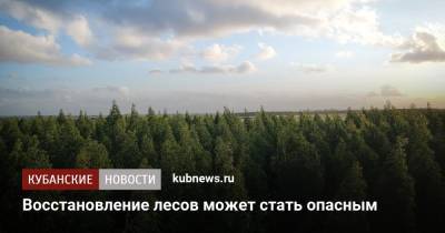 Восстановление лесов может стать опасным - kubnews.ru