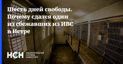 Сергей Гончаров - Александр Мавриди - Шесть дней свободы. Почему сдался один из сбежавших из ИВС в Истре - nsn.fm - Московская обл.