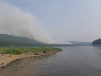 Добровольцы, которые тушат лесные пожары в Башкирии, жалуются на недостаток помощи от властей - rosbalt.ru - Башкирия - район Зианчуринский