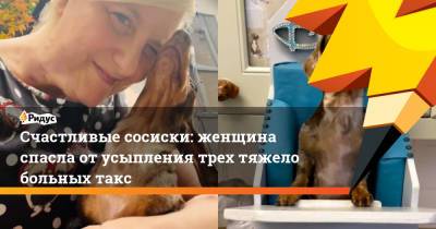 Счастливые сосиски: женщина спасла от усыпления трех тяжело больных такс - ridus.ru - Англия