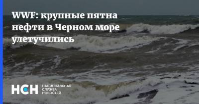 WWF: крупные пятна нефти в Черном море улетучились - nsn.fm - Россия - Новороссийск - Черное Море