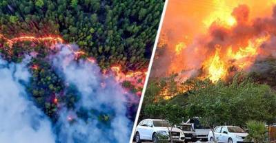 Бекир Пакдемирли - В Анталии и Мармарисе опять пожары: начались аресты - reendex.ru - Турция