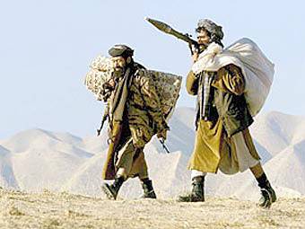 Власти Афганистана готовы допустить талибов* до управления страной в обмен на мир - nakanune.ru - Россия - Афганистан - Кабул
