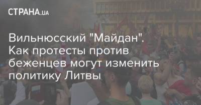 Вильнюсский "Майдан". Как протесты против беженцев могут изменить политику Литвы - strana.ua - Украина - Белоруссия - Литва - Вильнюс