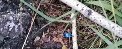 Двое омичей приехали в НСО, чтобы организовать свой наркобизнес - runews24.ru - Россия - Новосибирская обл. - Омская обл.