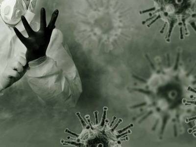 Тедрос Гебрейесус - Эксперт ВОЗ не исключил, что коронавирус «создали» в лаборатории - rosbalt.ru - Китай - Дания - Ухань