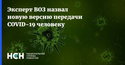 Эксперт ВОЗ назвал новую версию передачи COVID-19 человеку - nsn.fm - Китай - Дания - Ухань