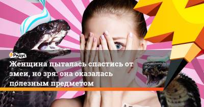 Женщина пыталась спастись от змеи, но зря: она оказалась полезным предметом - ridus.ru - Сингапур