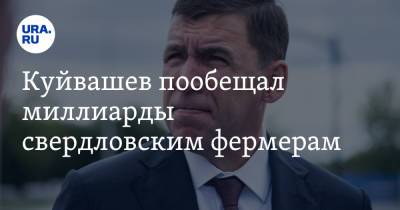 Евгений Куйвашев - Куйвашев пообещал миллиарды свердловским фермерам - ura.news - Екатеринбург