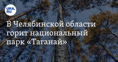 Сергей Лавров - В Челябинской области горит национальный парк «Таганай» - ura.news - Челябинская обл.