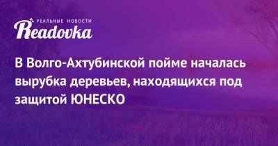 В Волго-Ахтубинской пойме началась вырубка деревьев, находящихся под защитой ЮНЕСКО - readovka.news - Волгоград - Волгоградская обл. - Экология
