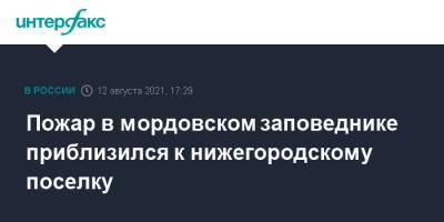 Пожар в мордовском заповеднике приблизился к нижегородскому поселку - interfax.ru - Москва - Нижегородская обл. - район Вознесенский - республика Мордовия