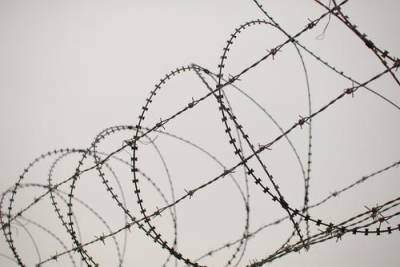 Госполиция Латвии отправила спецназ на границу с Белоруссией в связи с возросшим потоком нелегальных мигрантов - argumenti.ru - Россия - Китай - Украина - Белоруссия - Рига - Латвия