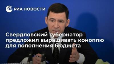 Евгений Куйвашев - Свердловский губернатор Куйвашев: попробуем выращивать техническую коноплю для пополнения бюджета - smartmoney.one - Россия - Свердловская обл.