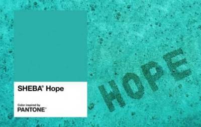 Pantone представил новый оттенок "Надежда": он посвящен восстановлению коралловых рифов - skuke.net - Экология