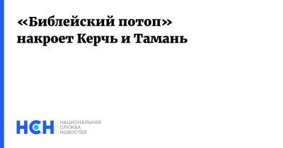 Евгений Тишковец - «Библейский потоп» накроет Керчь и Тамань - nsn.fm - Крым - Керчь - Тамань