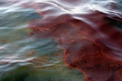 Выброс в Черное море: чем огромное нефтяное пятно угрожает акватории и каковы последствия аварии у Новороссийска - sharij.net - Новороссийск - Экология