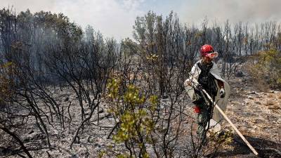 Бекир Пакдемирли - В Турции заявили о ликвидации всех лесных пожаров в стране - iz.ru - Израиль - Турция