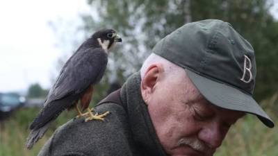 Денис Алексеев - Московский Центр реабилитации диких животных принял 28 новых питомцев - russian.rt.com - Москва