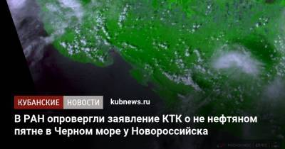 В РАН опровергли заявление КТК о не нефтяном пятне в Черном море у Новороссийска - kubnews.ru - Россия - Краснодарский край - Новороссийск - Черное Море - Экология