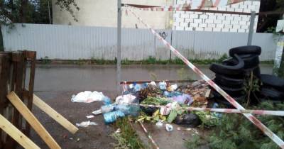 Двор жительницы СНТ, добившейся в суде переноса контейнера из-под своих окон, соседи опять закидали мусором - klops.ru