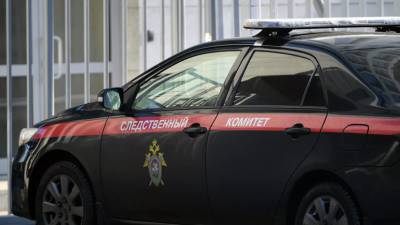 В Самарской области возбудили уголовное дело по факту убийства ребёнка - russian.rt.com - Россия - Самарская обл.