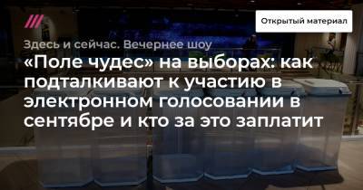 Алексей Немерюк - «Поле чудес» на выборах: как подталкивают к участию в электронном голосовании в сентябре и кто за это заплатит - tvrain.ru - Москва