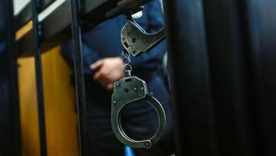 В Пскове экс-координатора "Открытой России" приговорили к 10,5 года колонии - dp.ru - Россия - Псков