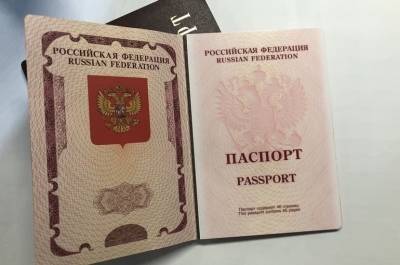 Кабмин предлагает установить основания недействительности загранпаспорта - pnp.ru - Россия