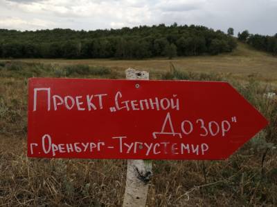 В лесах Оренбургской области устанавливают указатели для заблудившихся грибников – Учительская газета - ug.ru - Оренбургская обл.
