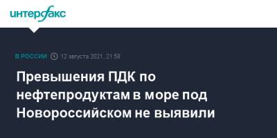 Александр Козлов - Превышения ПДК по нефтепродуктам в море под Новороссийском не выявили - interfax.ru - Москва - Россия - Новороссийск - Черное Море